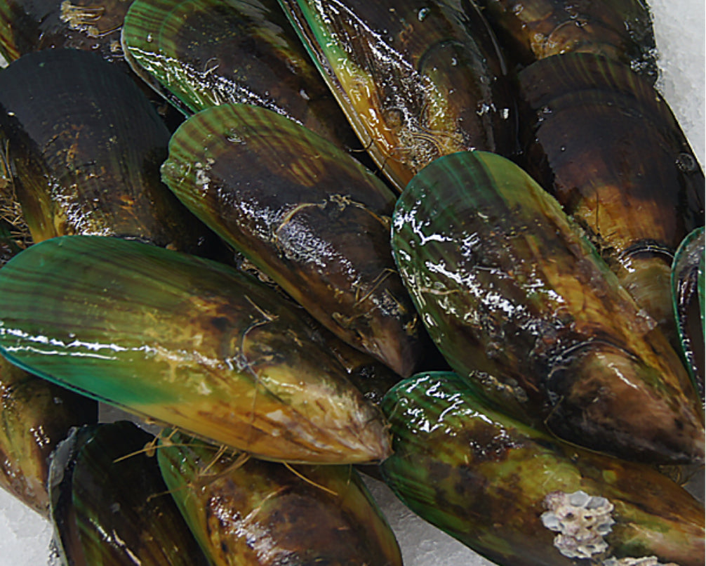 Greenlip Nz Mussels frozen.