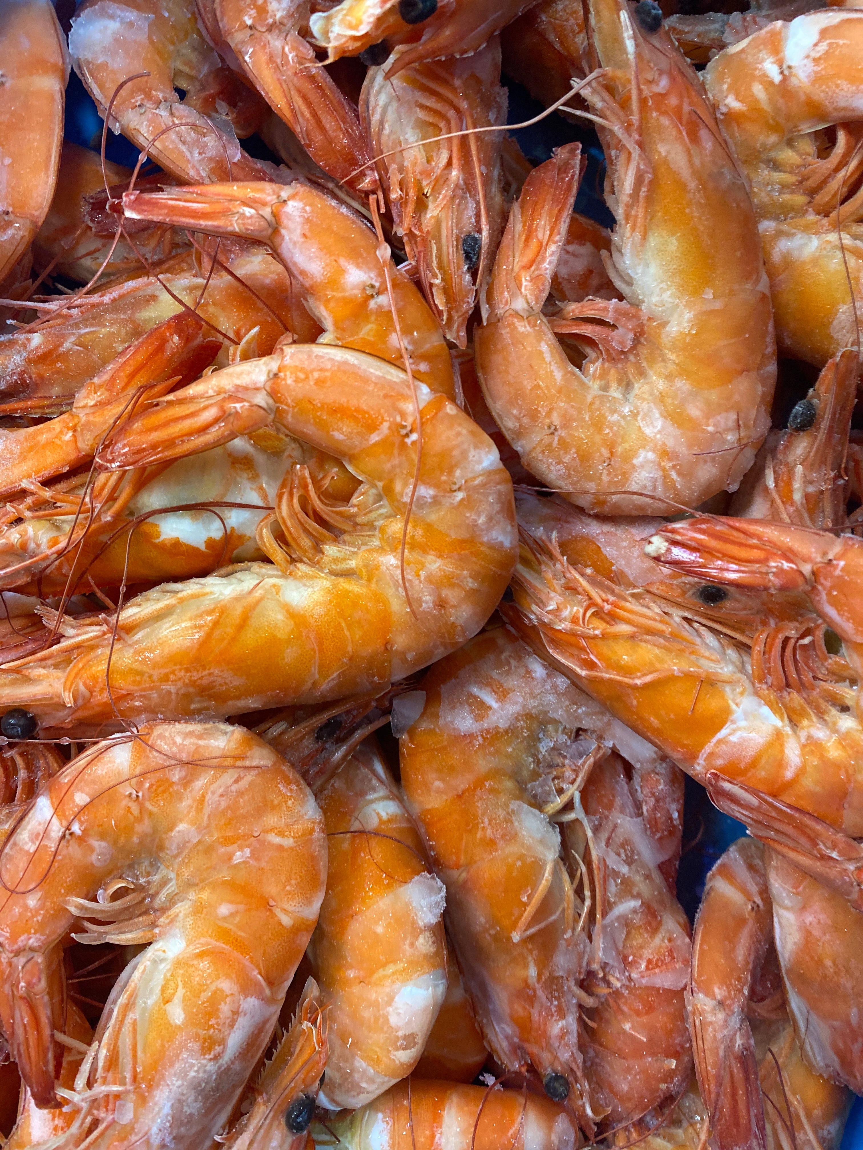 Frozen Prawns per kg