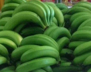 GREEN Banana per KG